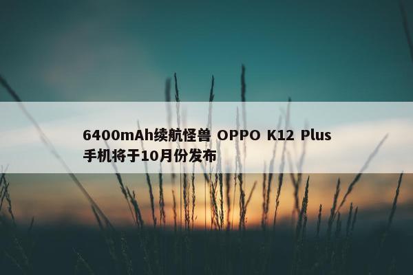 6400mAh续航怪兽 OPPO K12 Plus手机将于10月份发布