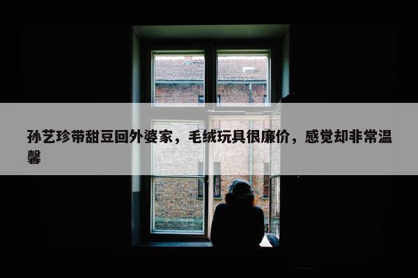 孙艺珍带甜豆回外婆家，毛绒玩具很廉价，感觉却非常温馨