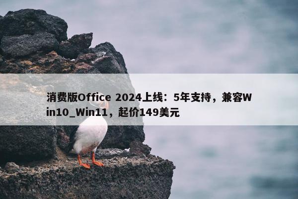 消费版Office 2024上线：5年支持，兼容Win10_Win11，起价149美元