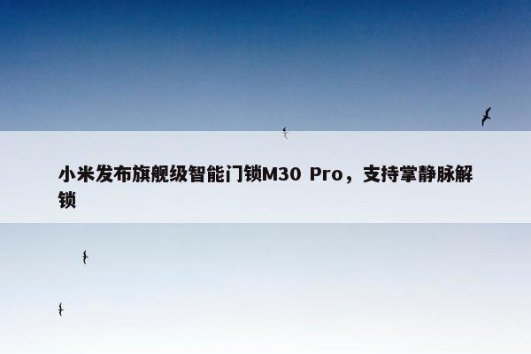 小米发布旗舰级智能门锁M30 Pro，支持掌静脉解锁