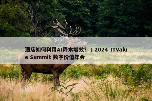 酒店如何利用AI降本增效？丨2024 ITValue Summit 数字价值年会