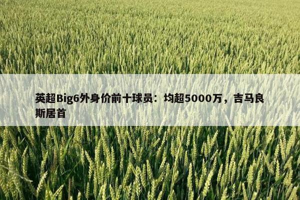 英超Big6外身价前十球员：均超5000万，吉马良斯居首