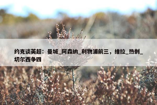 约克谈英超：曼城_阿森纳_利物浦前三，维拉_热刺_切尔西争四