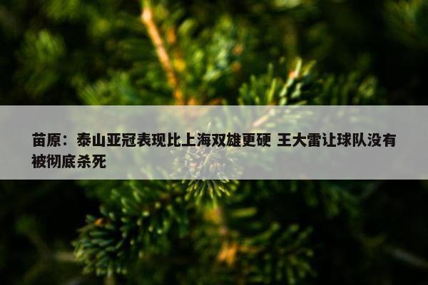 苗原：泰山亚冠表现比上海双雄更硬 王大雷让球队没有被彻底杀死