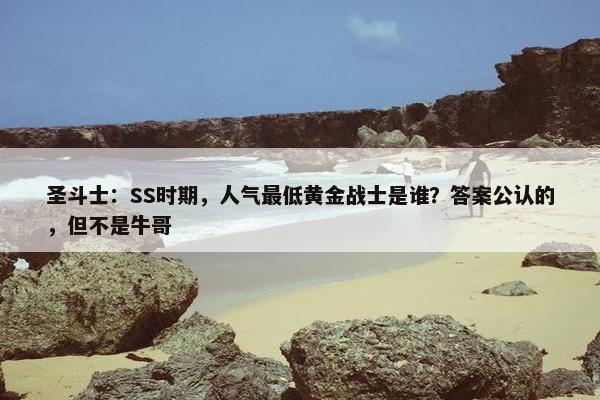 圣斗士：SS时期，人气最低黄金战士是谁？答案公认的，但不是牛哥