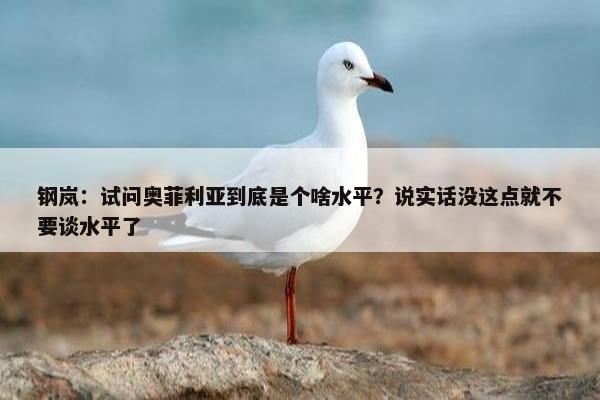 钢岚：试问奥菲利亚到底是个啥水平？说实话没这点就不要谈水平了