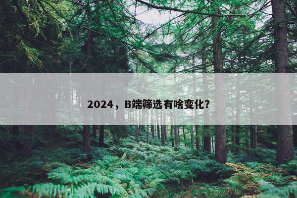 2024，B端筛选有啥变化？