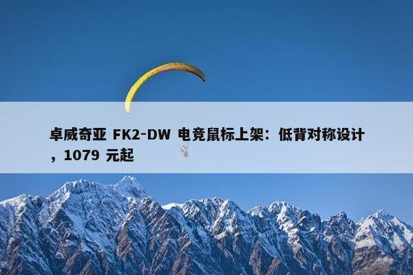 卓威奇亚 FK2-DW 电竞鼠标上架：低背对称设计，1079 元起