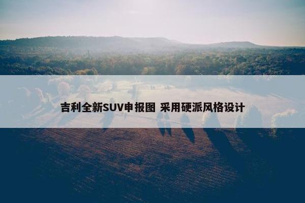 吉利全新SUV申报图 采用硬派风格设计