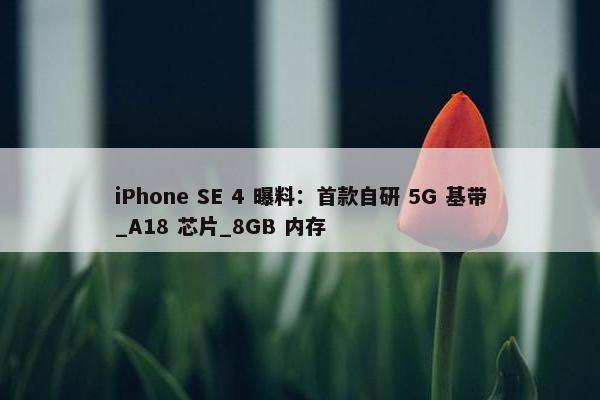 iPhone SE 4 曝料：首款自研 5G 基带_A18 芯片_8GB 内存