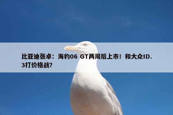 比亚迪张卓：海豹06 GT两周后上市！和大众ID.3打价格战？