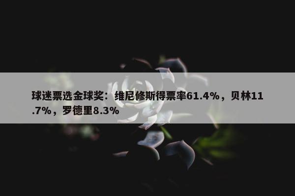 球迷票选金球奖：维尼修斯得票率61.4%，贝林11.7%，罗德里8.3%