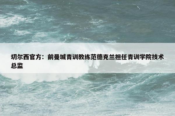 切尔西官方：前曼城青训教练范德克兰担任青训学院技术总监