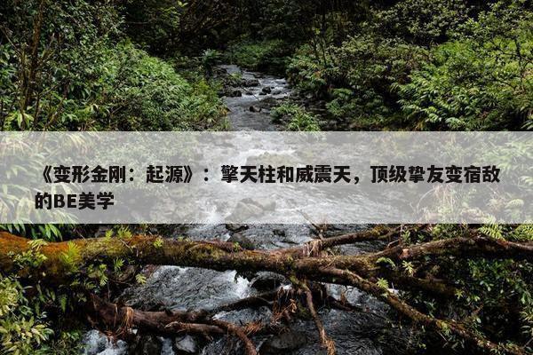 《变形金刚：起源》：擎天柱和威震天，顶级挚友变宿敌的BE美学