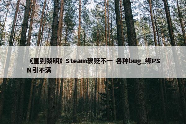 《直到黎明》Steam褒贬不一 各种bug_绑PSN引不满