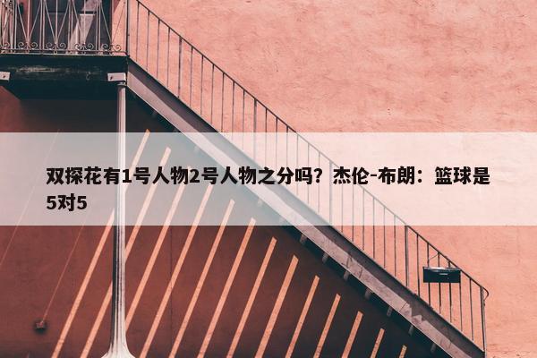 双探花有1号人物2号人物之分吗？杰伦-布朗：篮球是5对5