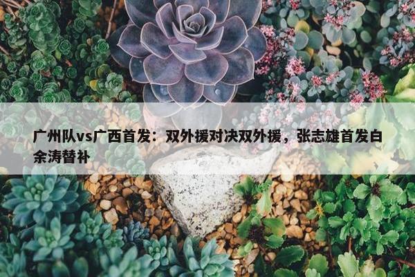 广州队vs广西首发：双外援对决双外援，张志雄首发白余涛替补