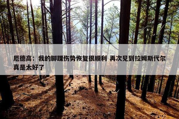 厄德高：我的脚踝伤势恢复很顺利 再次见到拉姆斯代尔真是太好了