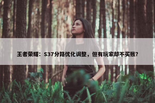 王者荣耀：S37分路优化调整，但有玩家却不买账？