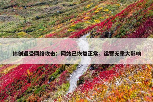 纬创遭受网络攻击：网站已恢复正常，运营无重大影响