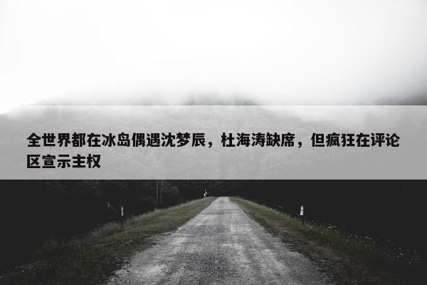 全世界都在冰岛偶遇沈梦辰，杜海涛缺席，但疯狂在评论区宣示主权