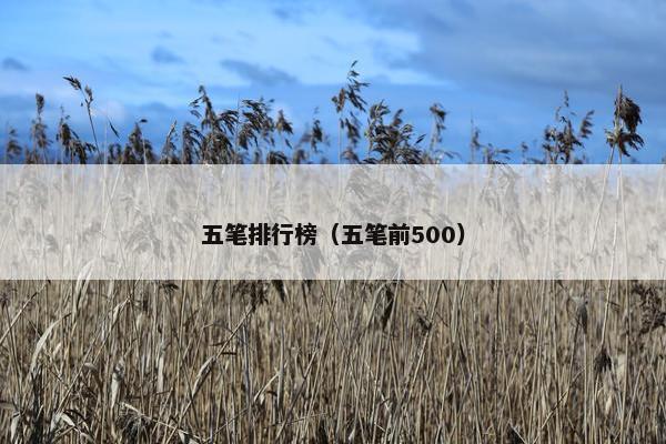 五笔排行榜（五笔前500）