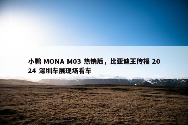 小鹏 MONA M03 热销后，比亚迪王传福 2024 深圳车展现场看车