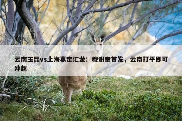 云南玉昆vs上海嘉定汇龙：穆谢奎首发，云南打平即可冲超