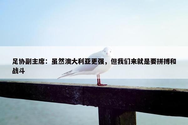 足协副主席：虽然澳大利亚更强，但我们来就是要拼搏和战斗