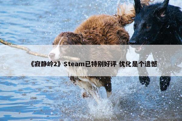 《寂静岭2》Steam已特别好评 优化是个遗憾