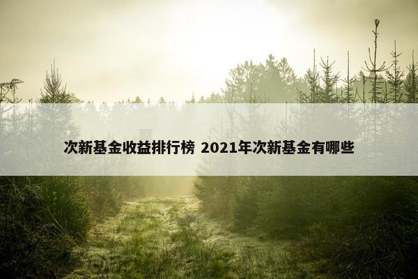 次新基金收益排行榜 2021年次新基金有哪些