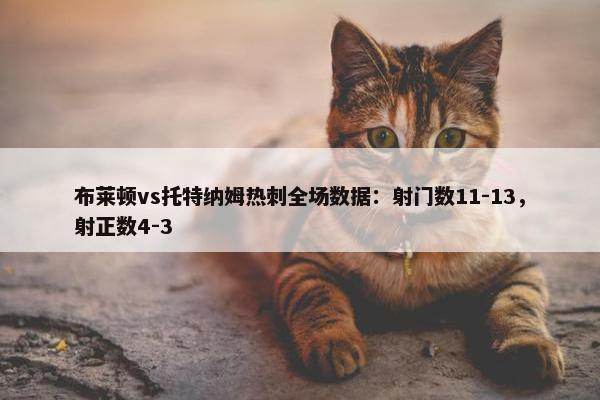 布莱顿vs托特纳姆热刺全场数据：射门数11-13，射正数4-3