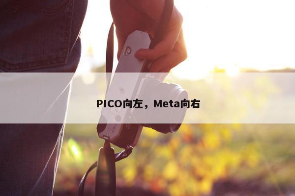 PICO向左，Meta向右