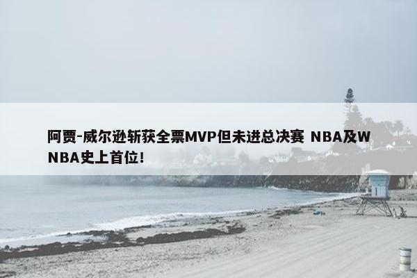 阿贾-威尔逊斩获全票MVP但未进总决赛 NBA及WNBA史上首位！