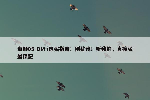 海狮05 DM-i选买指南：别犹豫！听我的，直接买最顶配