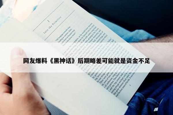 网友爆料《黑神话》后期略差可能就是资金不足