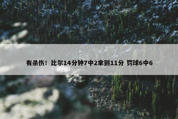 有杀伤！比尔14分钟7中2拿到11分 罚球6中6