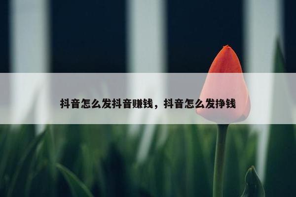 抖音怎么发抖音赚钱，抖音怎么发挣钱