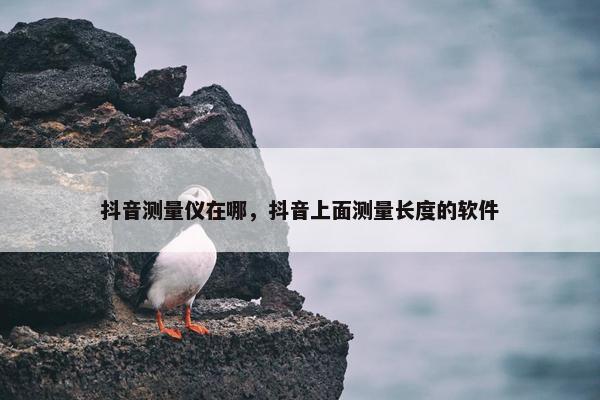 抖音测量仪在哪，抖音上面测量长度的软件