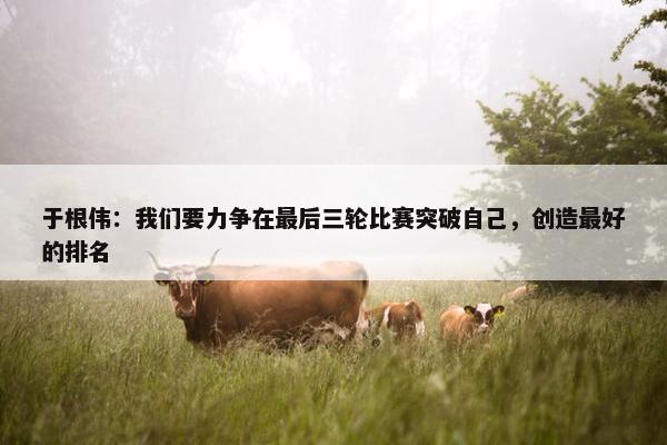 于根伟：我们要力争在最后三轮比赛突破自己，创造最好的排名