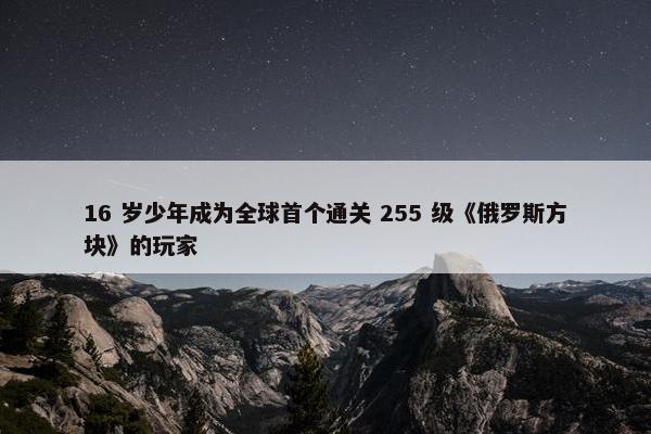 16 岁少年成为全球首个通关 255 级《俄罗斯方块》的玩家