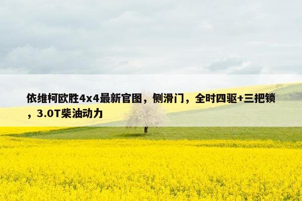 依维柯欧胜4x4最新官图，侧滑门，全时四驱+三把锁，3.0T柴油动力