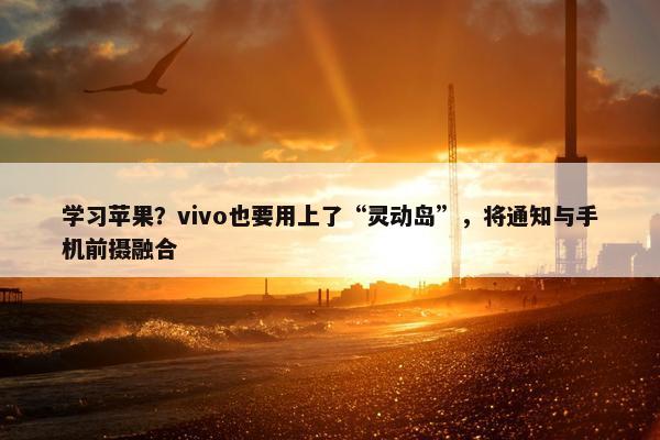 学习苹果？vivo也要用上了“灵动岛”，将通知与手机前摄融合