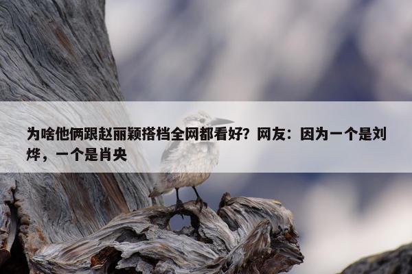 为啥他俩跟赵丽颖搭档全网都看好？网友：因为一个是刘烨，一个是肖央