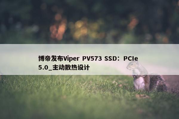 博帝发布Viper PV573 SSD：PCIe 5.0_主动散热设计