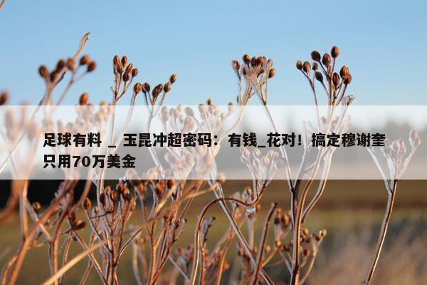 足球有料 _ 玉昆冲超密码：有钱_花对！搞定穆谢奎只用70万美金