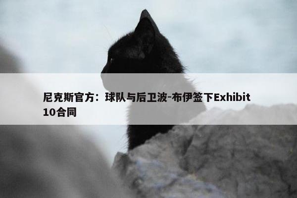 尼克斯官方：球队与后卫波-布伊签下Exhibit 10合同