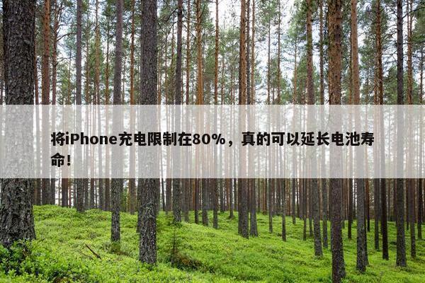 将iPhone充电限制在80%，真的可以延长电池寿命！