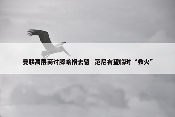 曼联高层商讨滕哈格去留  范尼有望临时“救火”