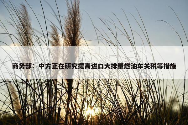 商务部：中方正在研究提高进口大排量燃油车关税等措施